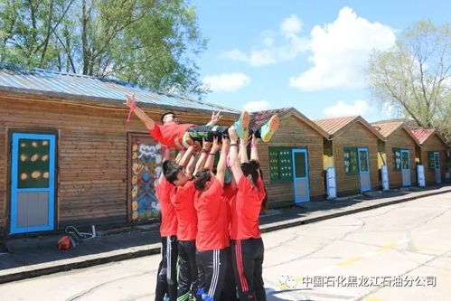 凝心聚力，共筑辉煌——齐齐哈尔开展体验式拓展训练活动纪实